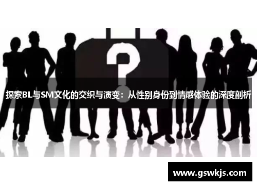 探索BL与SM文化的交织与演变：从性别身份到情感体验的深度剖析