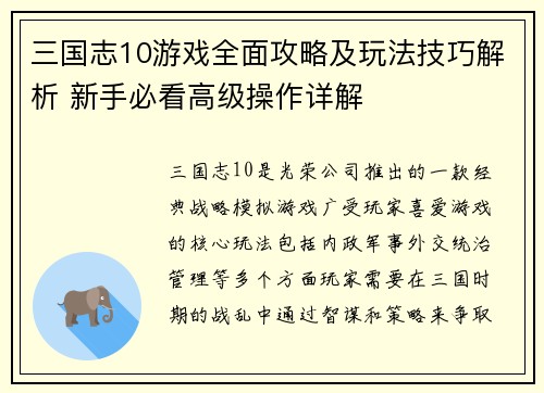 三国志10游戏全面攻略及玩法技巧解析 新手必看高级操作详解